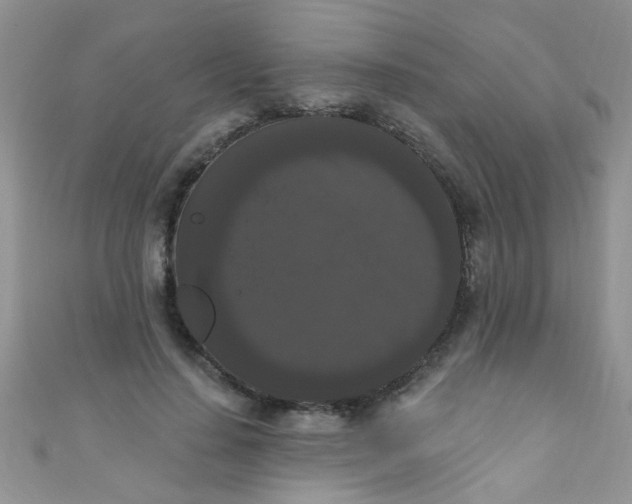 X0000111020644200907022159