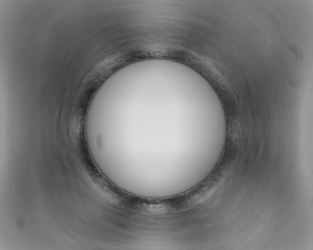 X0000111020645200907022159
