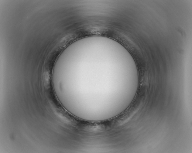 X0000111020646200907022159