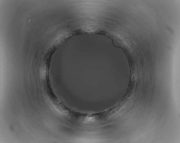 X0000111020647200907022159
