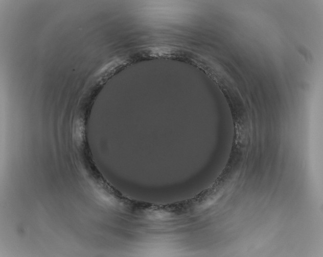 X0000111020648200907022159