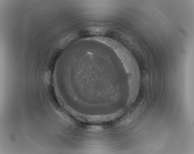 X0000111020649200907022159