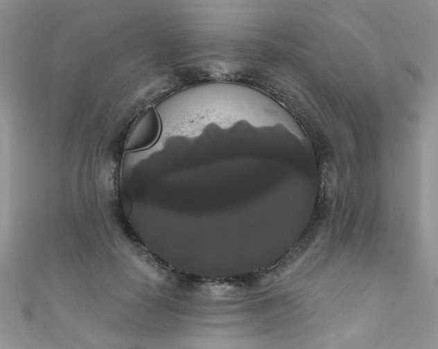 X0000111020650200907022159