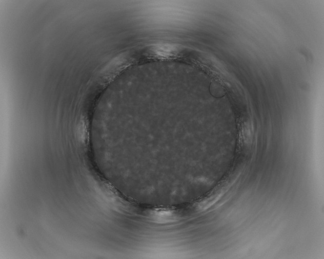 X0000111020651200907022159