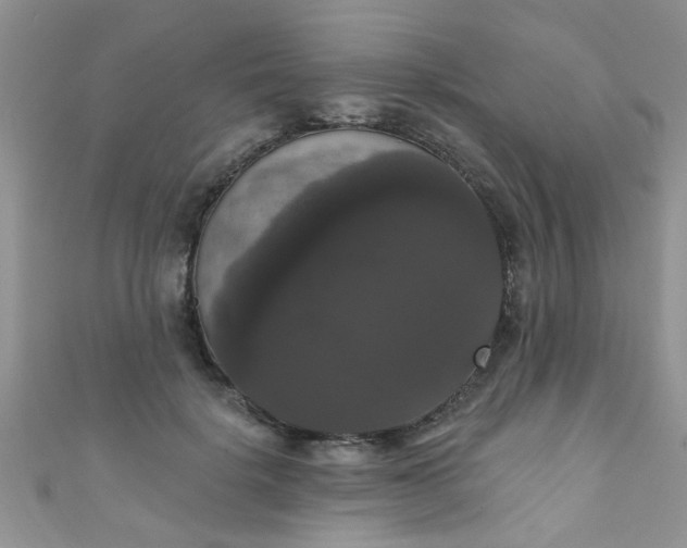 X0000111020652200907022159