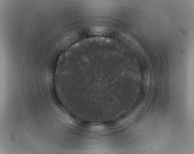 X0000111020653200907022159