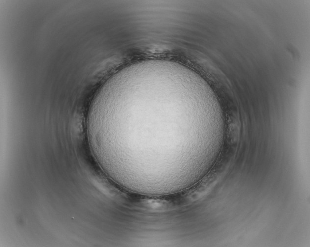 X0000111020654200907022159