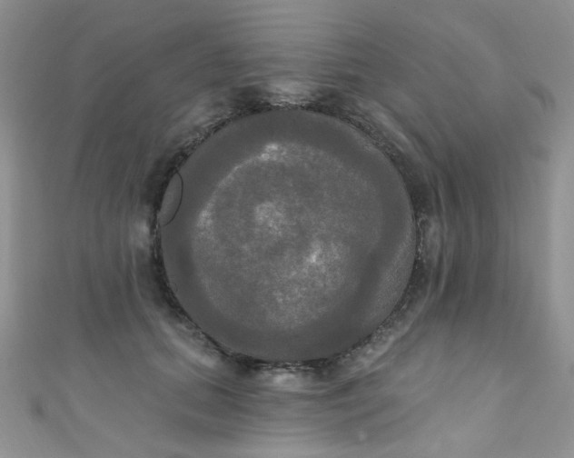 X0000111020655200907022159
