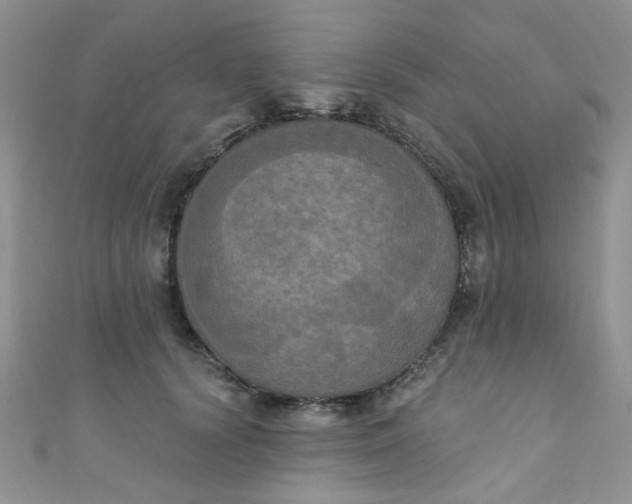 X0000111020656200907022159
