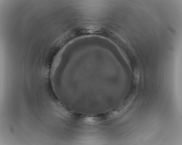 X0000111020657200907022159