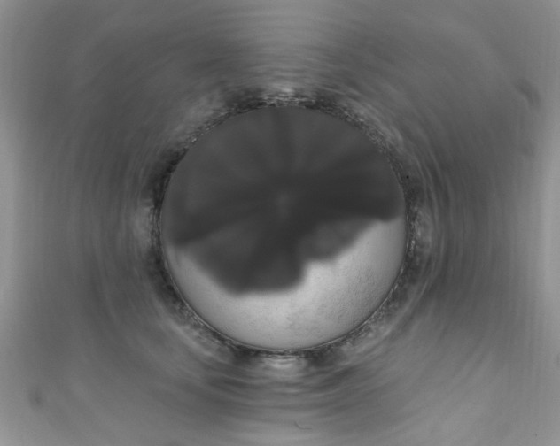 X0000111020659200907022159
