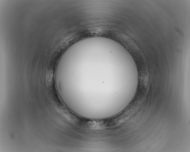 X0000111020660200907022159