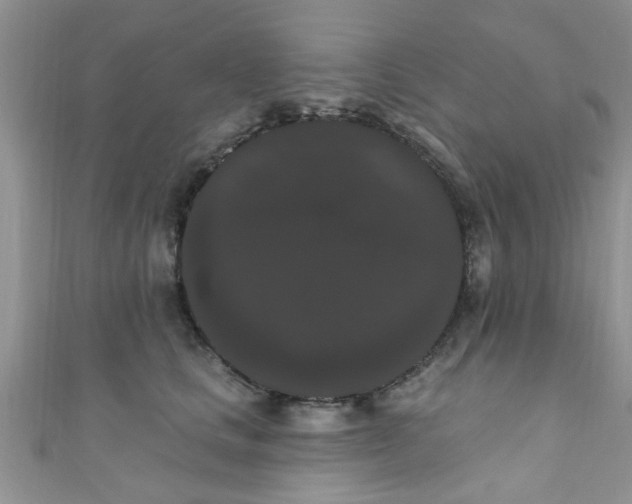 X0000111020661200907022159