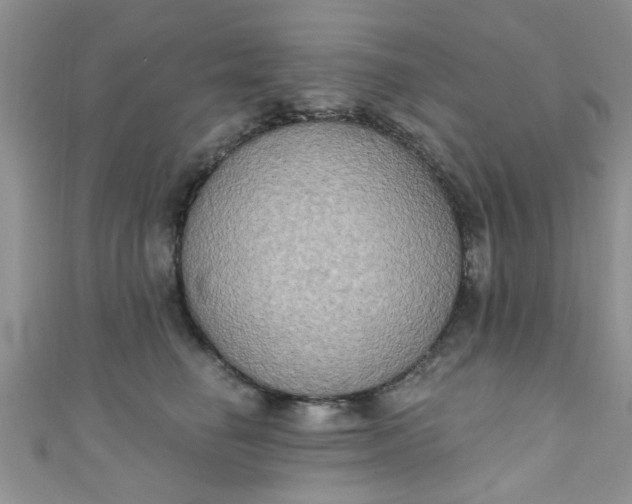 X0000111020662200907022159