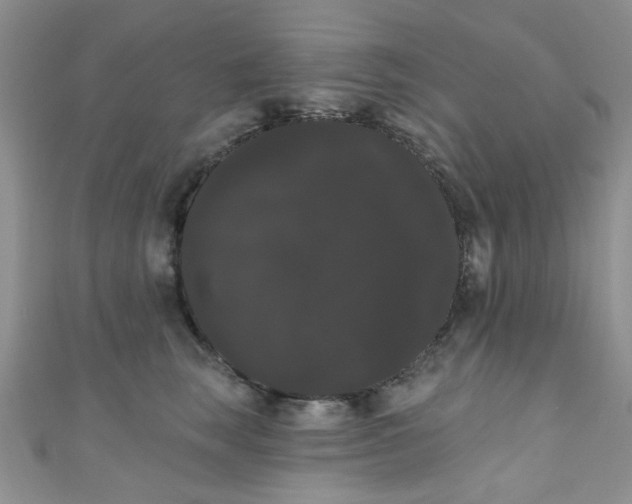 X0000111020663200907022159