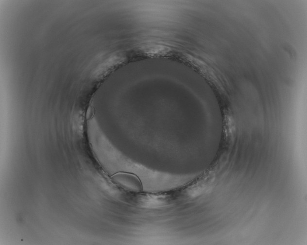 X0000111020664200907022159