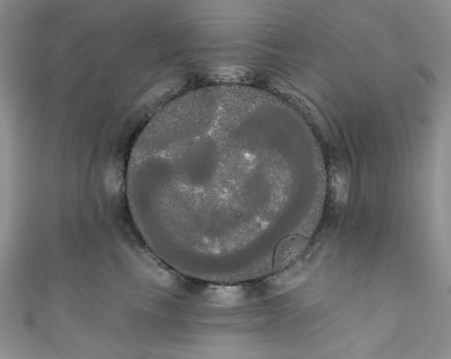 X0000111020665200907022159