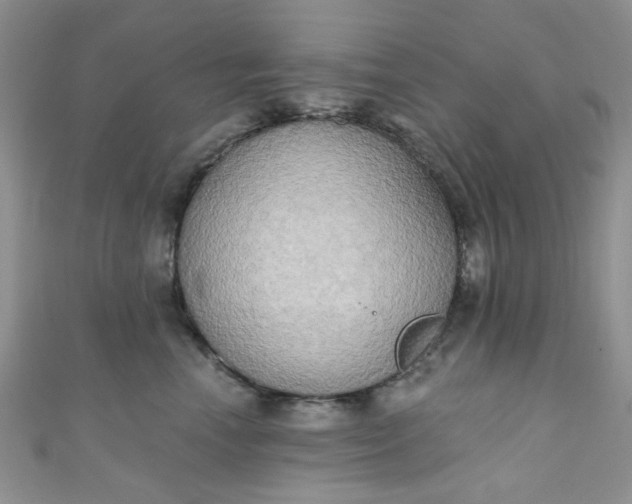 X0000111020666200907022159