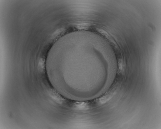 X0000111020667200907022159