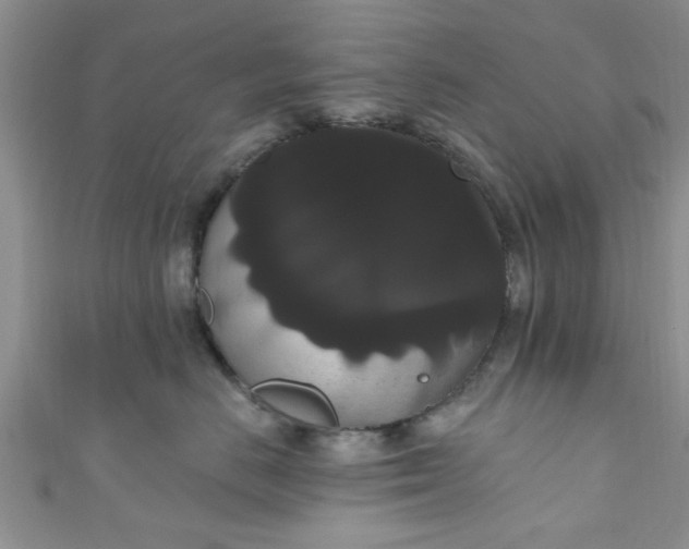 X0000111020670200907022200