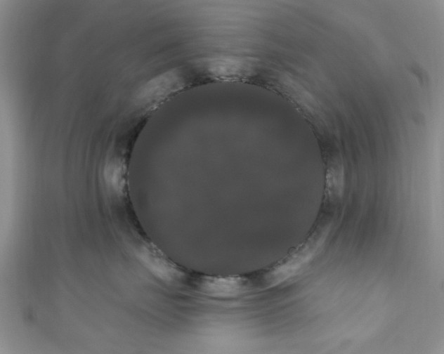 X0000111020671200907022200