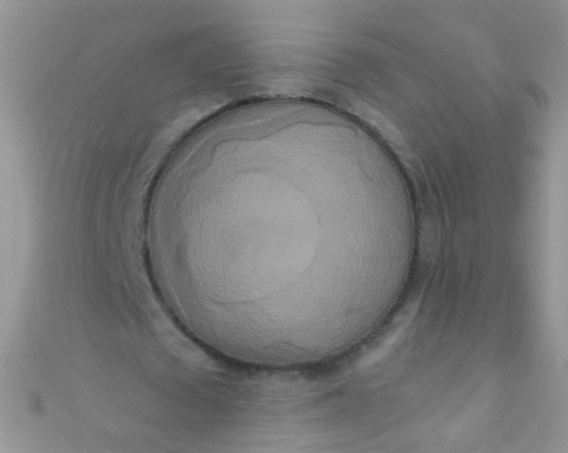 X0000111020673200907022159