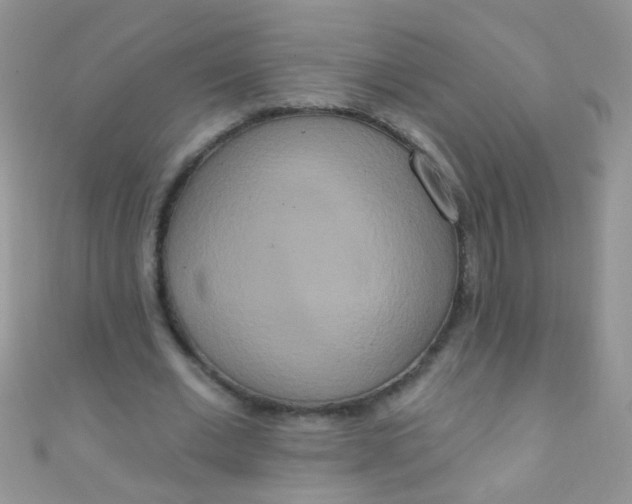 X0000111020677200907022159