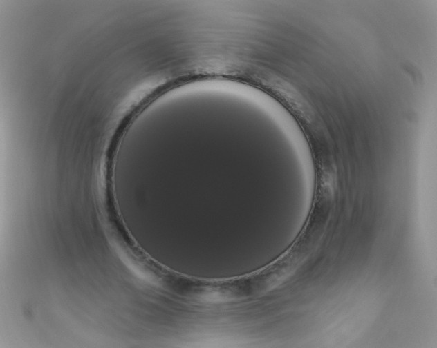 X0000111020678200907022159