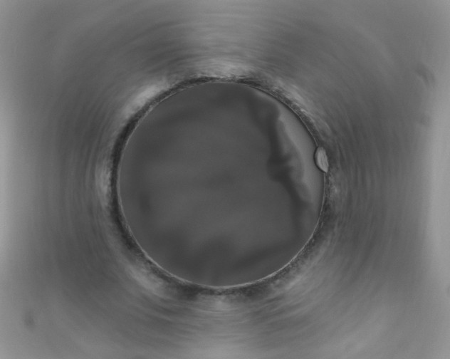 X0000111020679200907022159