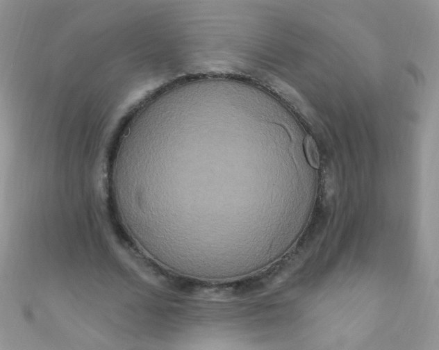 X0000111020680200907022159