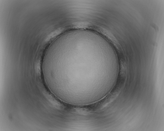 X0000111020681200907022159