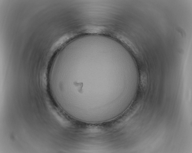 X0000111020682200907022159