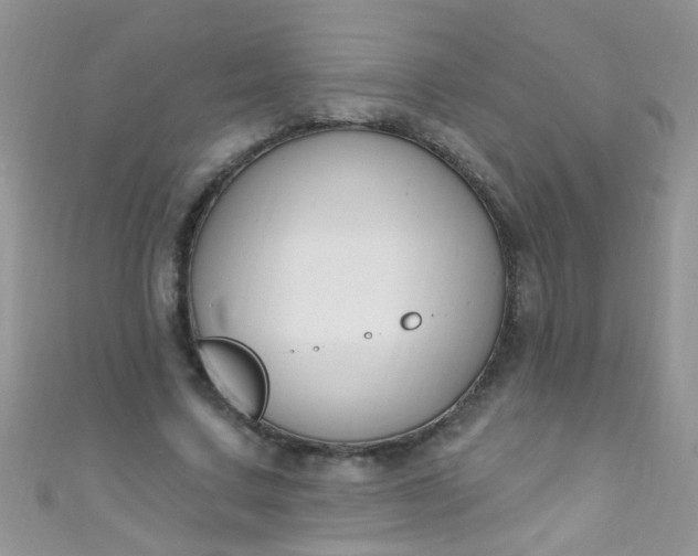 X0000111020683200907022159