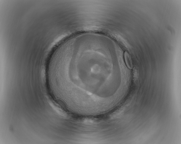 X0000111020684200907022159