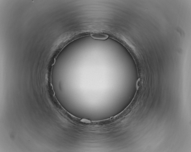 X0000111020685200907022159