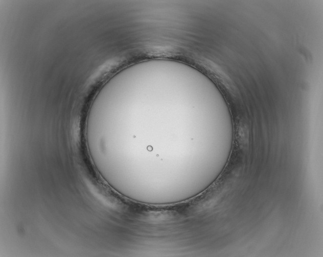 X0000111020686200907022159