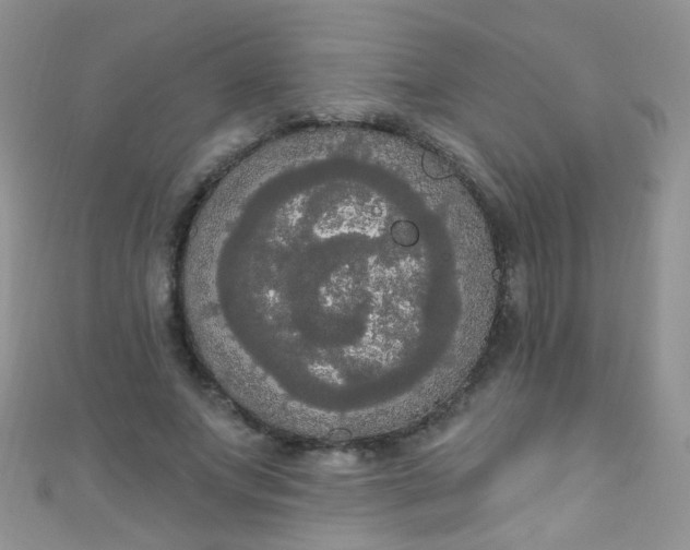X0000111020687200907022159