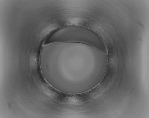 X0000111020688200907022159
