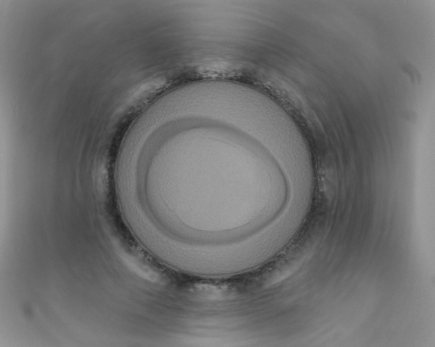 X0000111020690200907022159