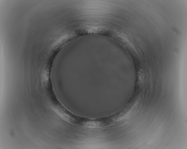 X0000111020691200907022159