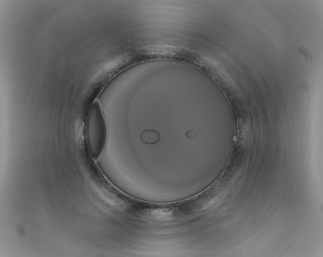 X0000111020692200907022159