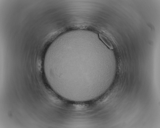 X0000111020693200907022159