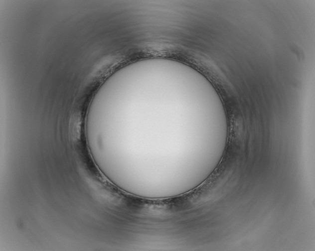 X0000111020694200907022159