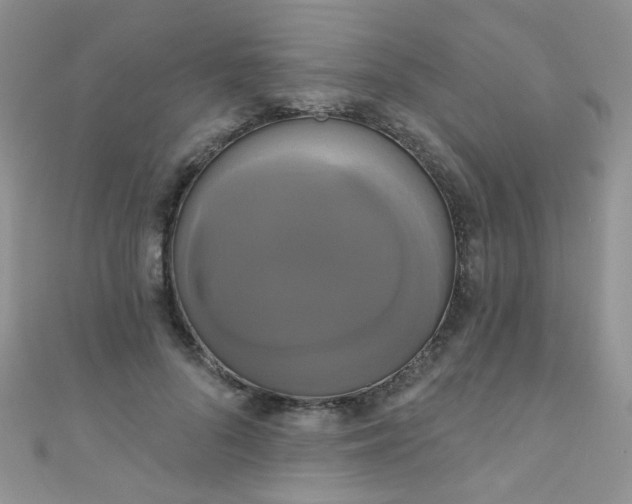 X0000111020696200907022159