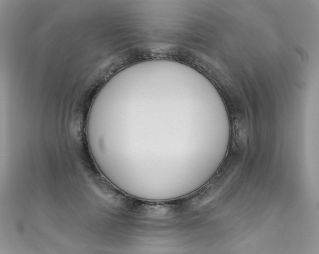 X0000111020698200907022159