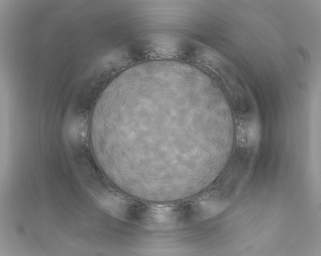 X0000111020701200907022159