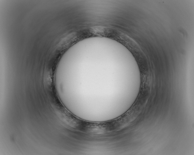 X0000111020702200907022159