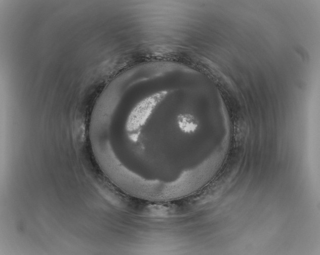 X0000111020703200907022159
