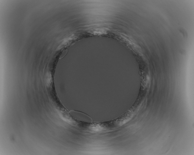 X0000111020704200907022159