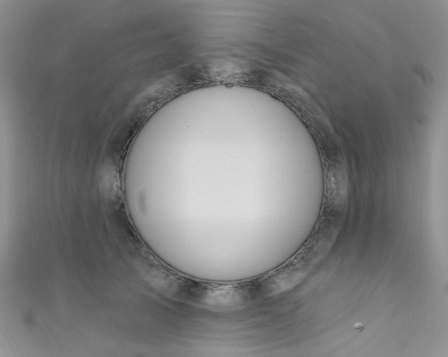 X0000111020705200907022159